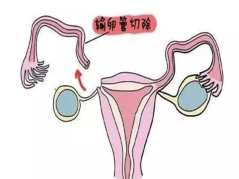 南京妇幼保健院三代供卵试管婴儿成功率预估，附2023最新费用明细参考