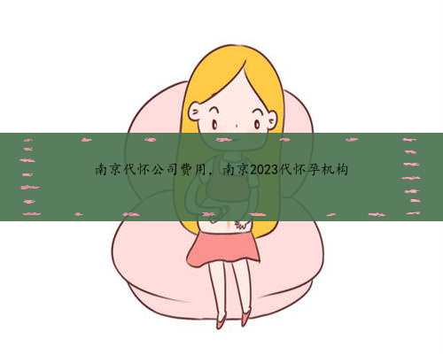 南京代怀公司费用，南京2023代怀孕机构