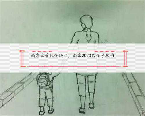 <b>南京试管代怀供卵，南京2023代怀孕机构</b>