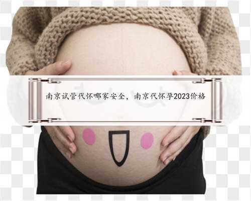 南京试管代怀哪家安全，南京代怀孕2023价格