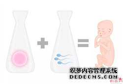 南京代怀生子胚胎移植,如何在失败的试管婴儿周期后恢复